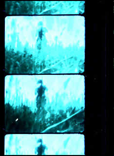 metamgram_r1_c2_f2.jpg